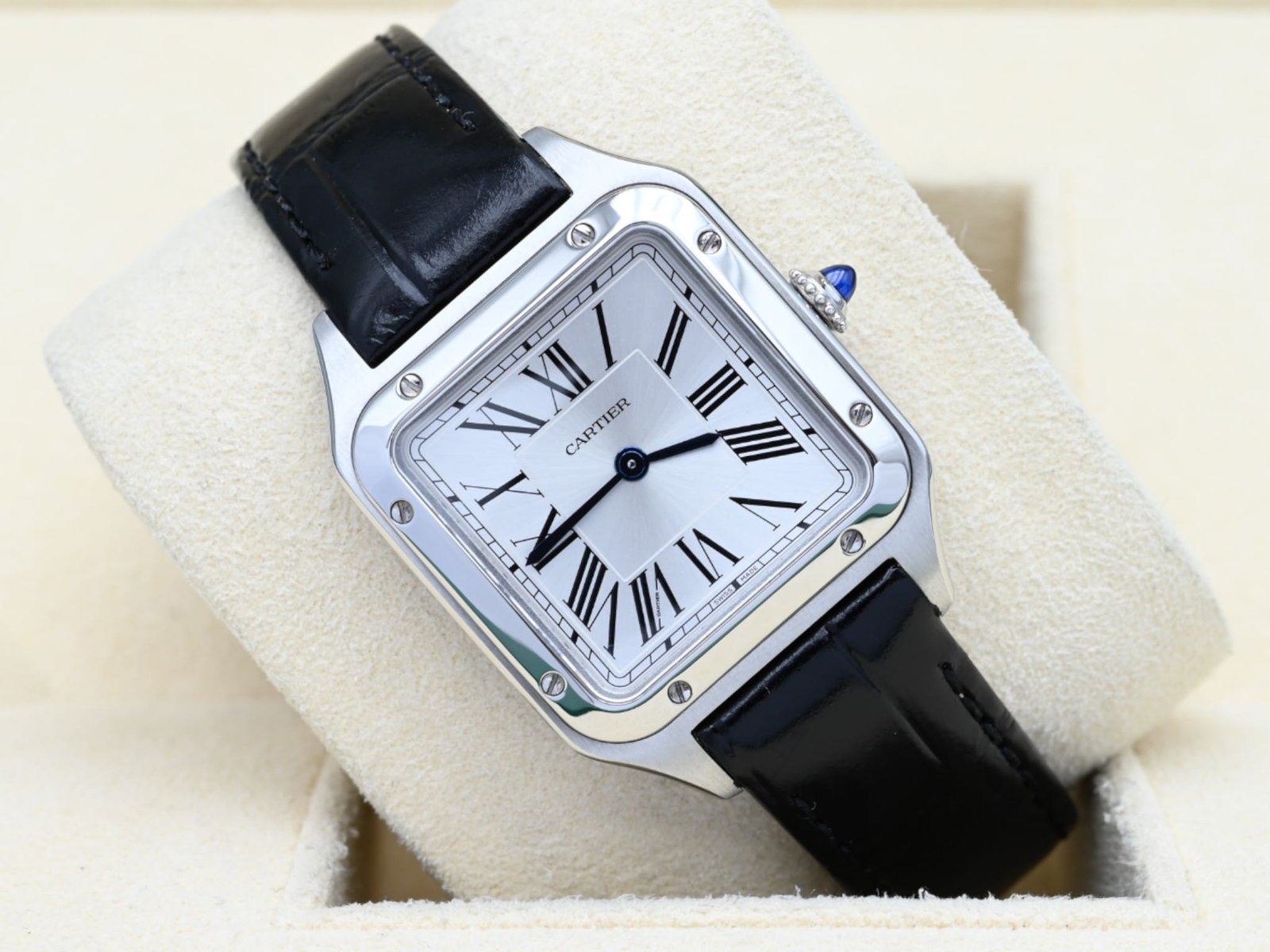 Cartier Santos WSSA0023 (3)